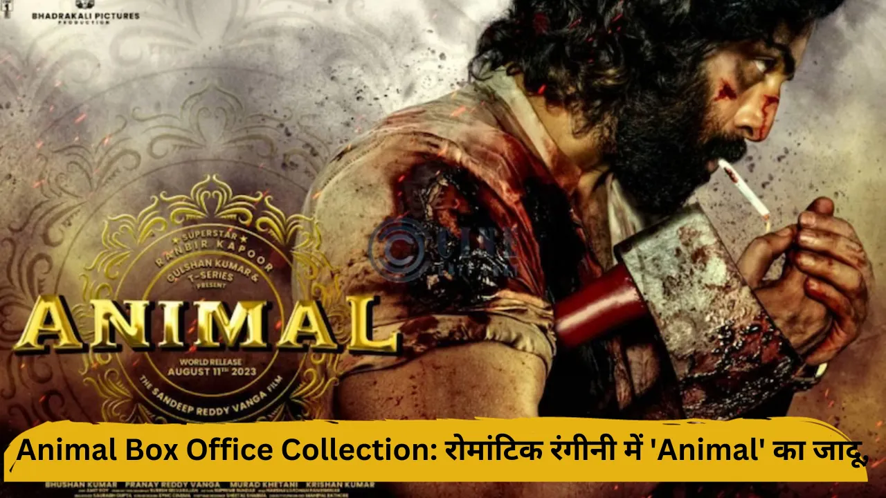 Animal Box Office Collection